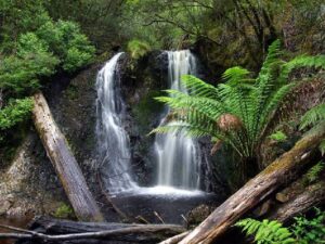 Водопад Хогарт в Тасмании
